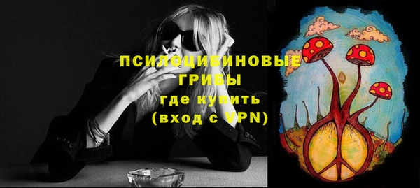 МДМА Богородицк