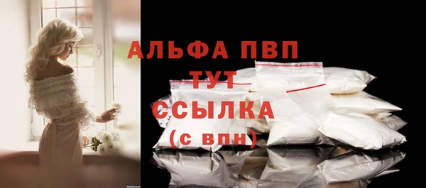 эйфоретик Богданович