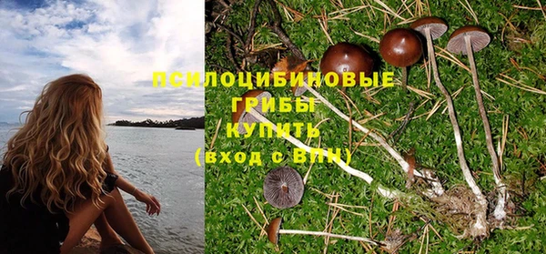 эйфоретик Богданович