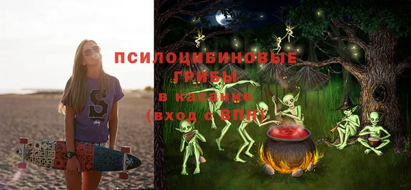 МДМА Богородицк
