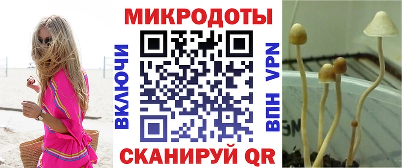 Псилоцибиновые грибы ЛСД  KRAKEN как зайти  Валуйки  где купить наркоту 