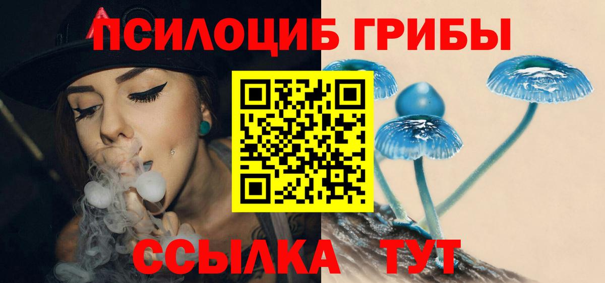 Псилоцибиновые грибы мицелий Валуйки